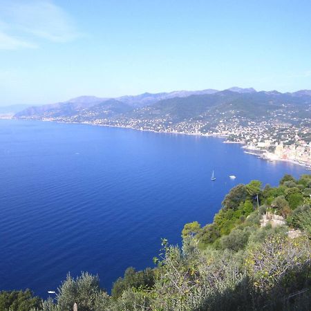 Portofino Mountain Unique Love Nest San Rocco  Eksteriør bilde