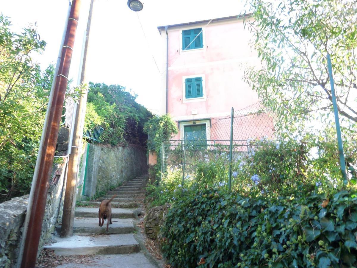 Portofino Mountain Unique Love Nest San Rocco  Eksteriør bilde